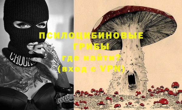амф Елабуга