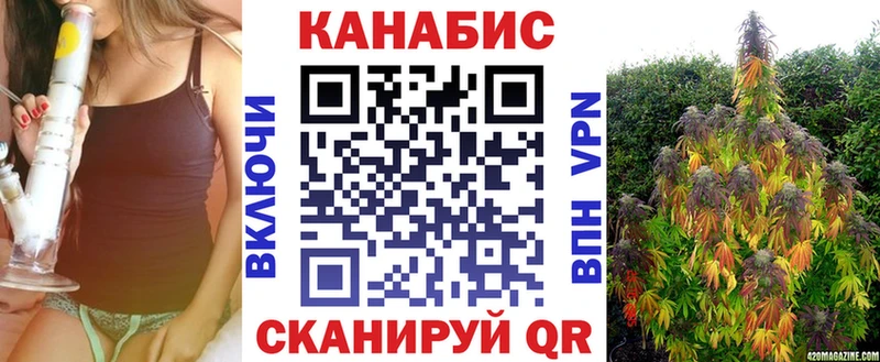 Бошки марихуана сатива  Нязепетровск 